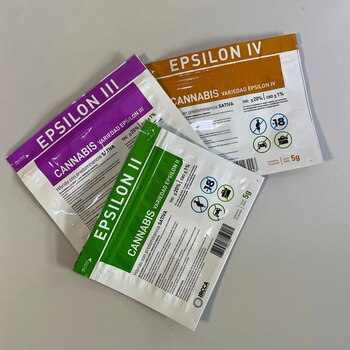 Épsilon, la última variante de