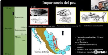 El descubrimiento redefine la distribución