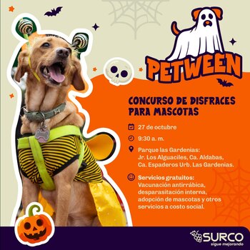 La Municipalidad de Surco organizará