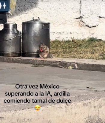 (Captura de pantalla)
