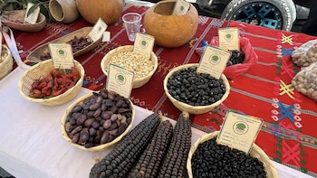 Red por la Defensa de la Soberanía Alimentaria en Guatemala presenta amparo contra normativa que facilita semillas transgénicas