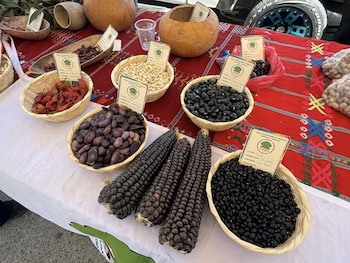 Mesa de mercado con cestas de frijoles negros, blancos y morados, mazorcas de maíz morado, chiles rojos y calabazas. Se observan etiquetas de semillas nativas