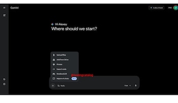 Los usuarios podrán exportar su