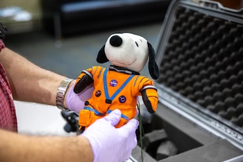 Manos con guantes lavanda sostienen un peluche de Snoopy vestido con un traje espacial naranja de la NASA. Un estuche abierto con espuma está en el fondo