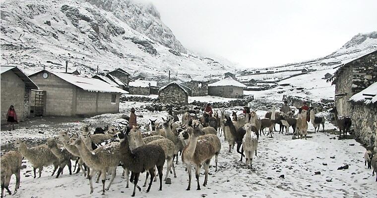 El friaje en regiones como el Vraem y zonas altoandinas de Ayacucho puede registrar descensos térmicos de hasta -15 °C. (Foto: El Peruano)
