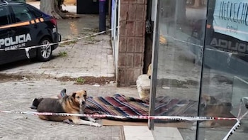 Rosario: un indigente murió a