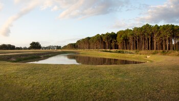 El entorno natural comenzó a