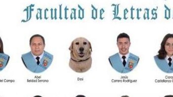 Desi, la perra guía que