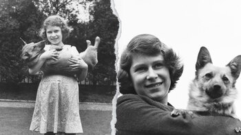 La monarca del Reino Unido tenía un cariño único por sus mascotas con una descendencia intocable. (Getty Images)