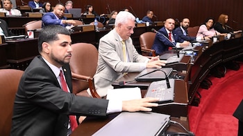 La modificación aprobada establece criterios para clasificar infracciones y delimita responsabilidades judiciales durante restricciones constitucionales, quedando pendiente la revisión y posible visto bueno por parte del Senado (Foto cortesía Cámara de Diputados)