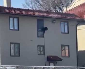 Una persona sale por una ventana abierta en el segundo piso de una casa de color claro con techo de tejas rojas. Un cable o manguera cuelga de la ventana