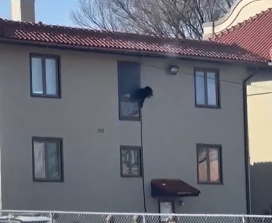 La agresora había sido señalada previamente por episodios de violencia familiar y por irrumpir en una iglesia local, con procesos judiciales pendientes (KETV Omaha)