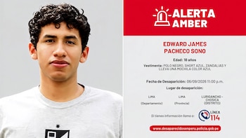 Ficha de Alerta Amber con el retrato de un joven de cabello rizado junto a sus datos personales y lugar de desaparición