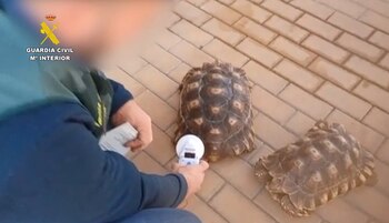 Imagen ZG4IV6U22FG2TI3RCG5IYNNINQ