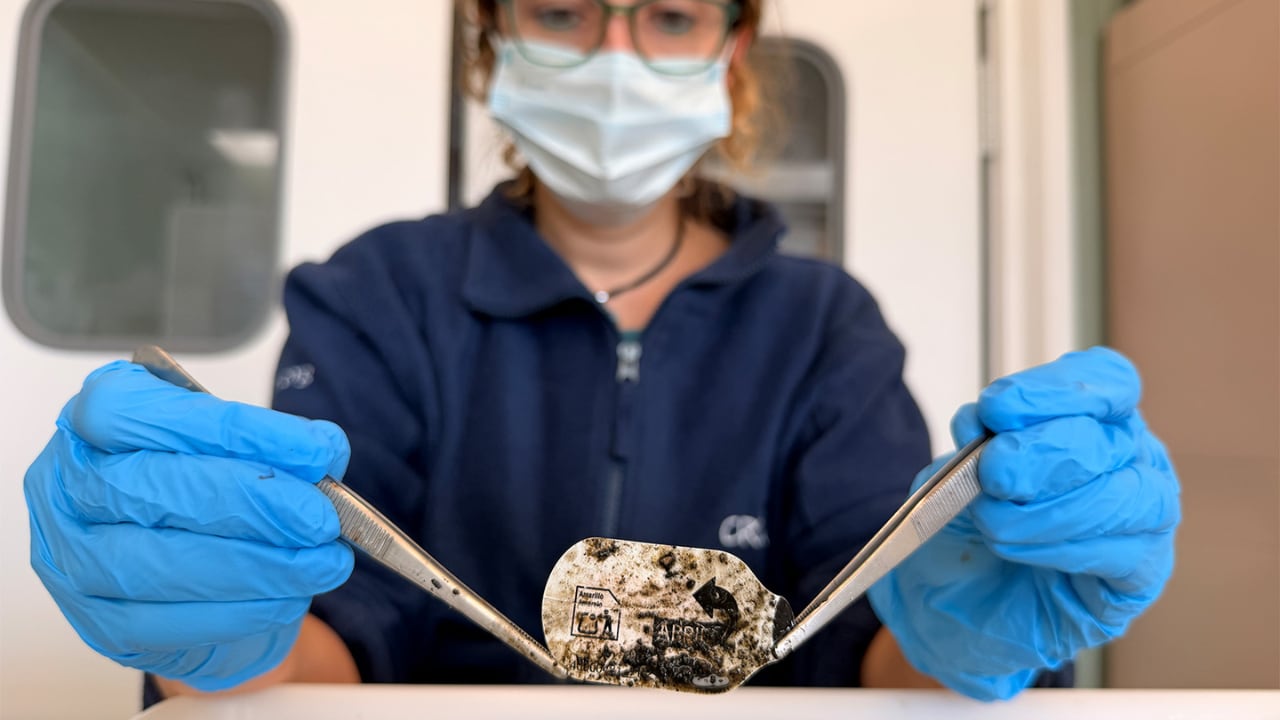 La ingesta de residuos de plástico afecta a las especies que los consumen y a los humanos. (CRAM)