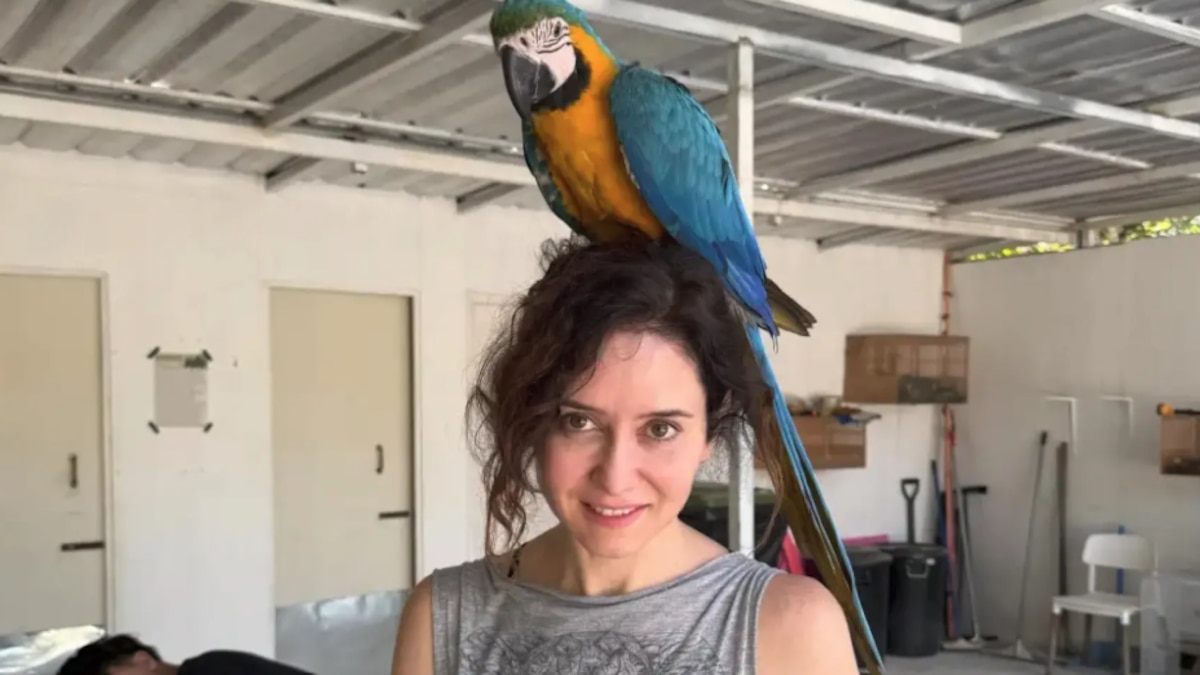 Isabel Díaz Ayuso visita el santuario de Frank Cuesta en Tailandia: “Ni hoz ni martillo, aquí libertad”