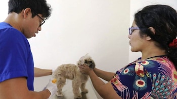 Además, se ofrecerán servicios de