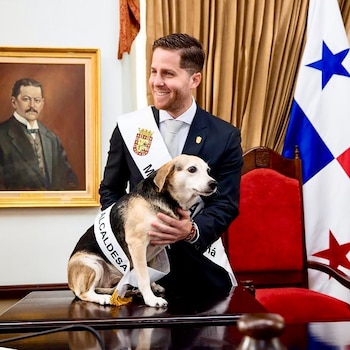 Tina es la mascota del alcalde de Panamá, Mayer Mizrachi. (Instagram/tinaquera)