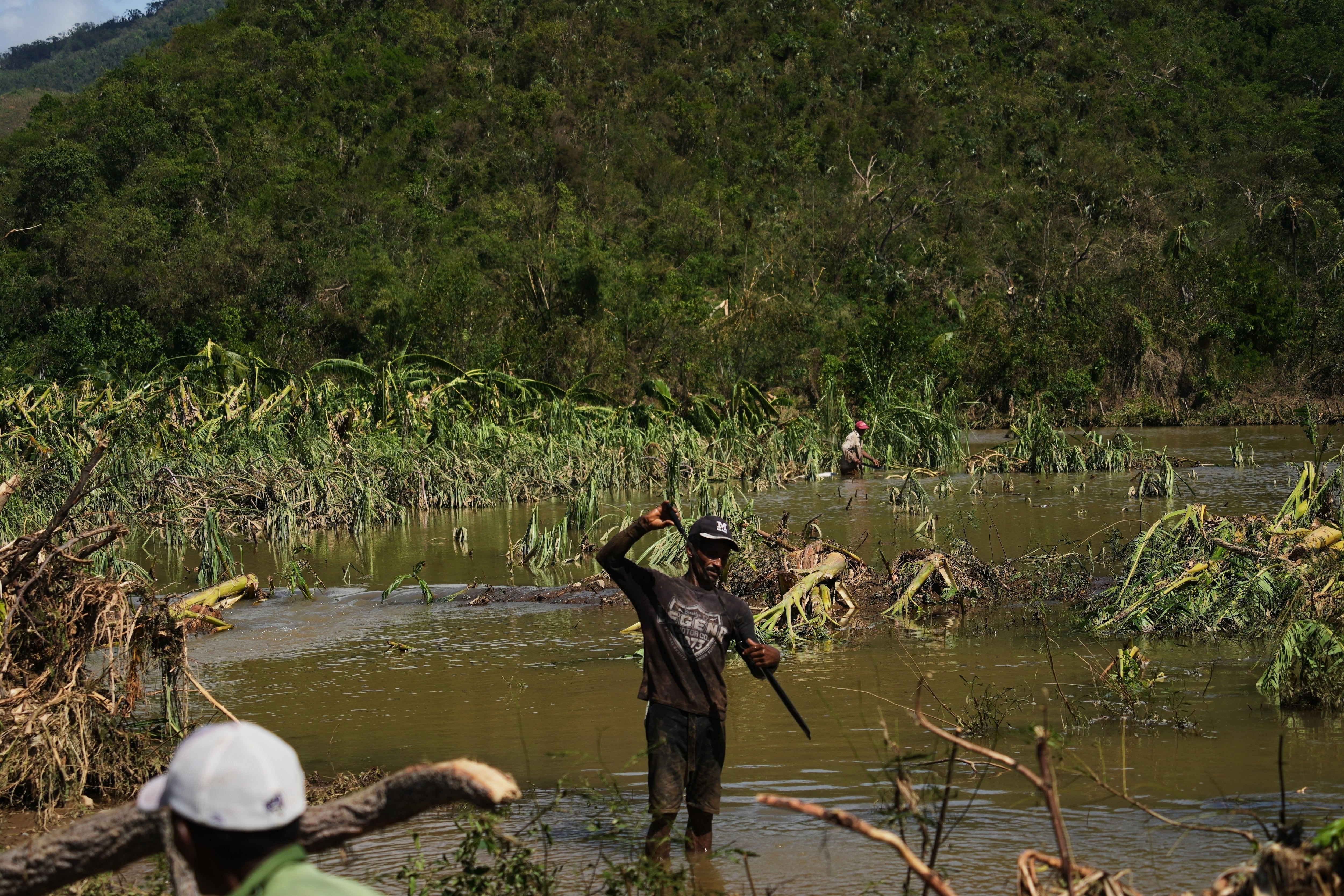 Un hombre trabaja en una plantación de plátano tras el paso del huracán Melissa por la costa sur de Santiago de Cuba, el jueves 30 de octubre de 2025. (AP Foto/Ramón Espinosa)