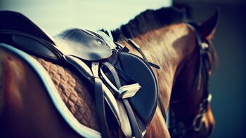 La ANMAT aprobó el uso