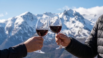 10 vinos patagónicos para descubrir: varietales y blends que reflejan la esencia del sur argentino