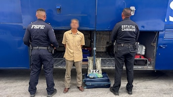 Aseguran droga en autobús de pasajeros en Guanajuato: más de mil dosis de marihuana estaban ocultas en equipaje