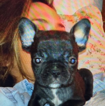 Moro en sus primeros años de vida