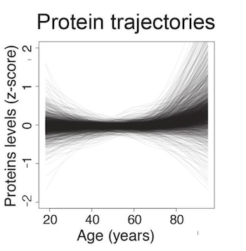 Evolución de la cantidad de