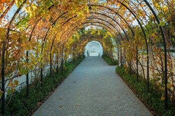 Las bodegas en las afueras