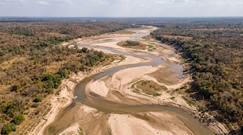 Vista aérea de un río serpenteante con caudal estrecho, amplios bancos de arena clara y bosques en las orillas.