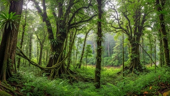 El inesperado impacto del cambio