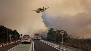 El incendio en El Saler (Valencia) continúa activo, aunque con el perímetro contenido: más de un centenar de evacuados han pasado la noche en un pabellón