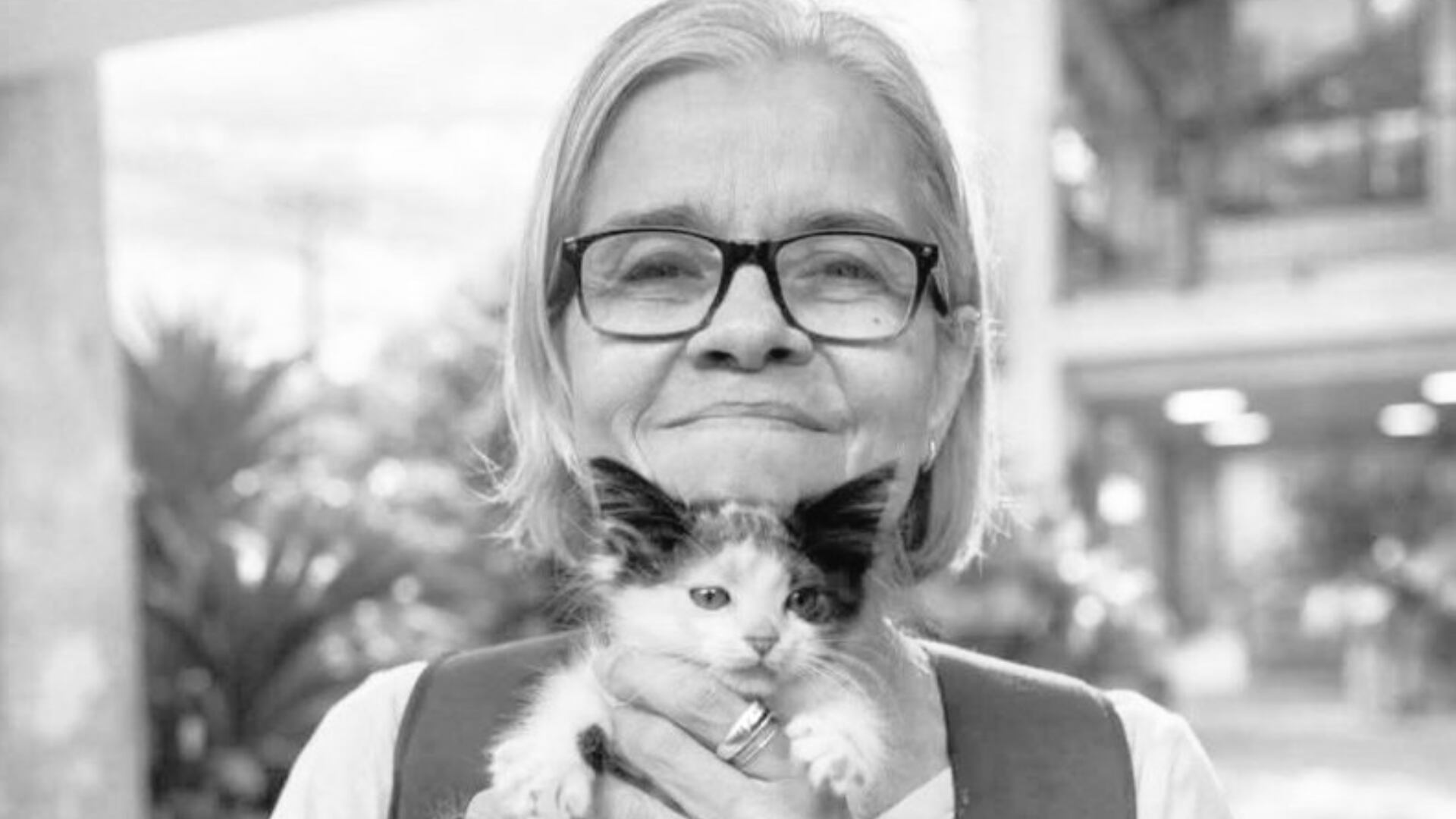 La Policía Metropolitana de Cali detuvo al presunto responsable del asesinato de Nancy Díaz Osorio, reconocida defensora de los animales - crédito @FabritCruz/ X