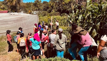 Productoras e integrantes de colectivos agroecológicos participan en jornadas de aprendizaje e intercambio en santuarios de semillas locales (Cortesía: UNES).