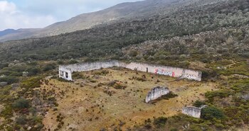 Algunos testimonios mencionan la posible