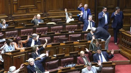 Financiamiento de partidos, ley de medios y eutanasia: los últimos debates en el Congreso uruguayo antes de las elecciones