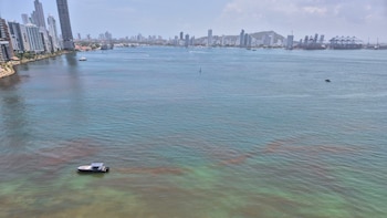 Apareció una mancha cobriza en la bahía de Cartagena que causó sorpresa: Dimar explicó el fenómeno