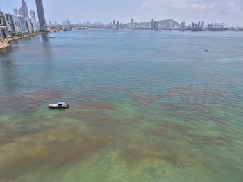 La aparición de una mancha cobriza en la bahía de Cartagena genera preocupación por posible contaminación marina - crédito Dimar
