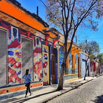 El pasaje Lanín es uno