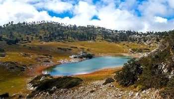 Ambientalistas y líderes regionales proponen reforestar con especies nativas, fortalecer la gestión hídrica y proteger los bosques de Guatemala.