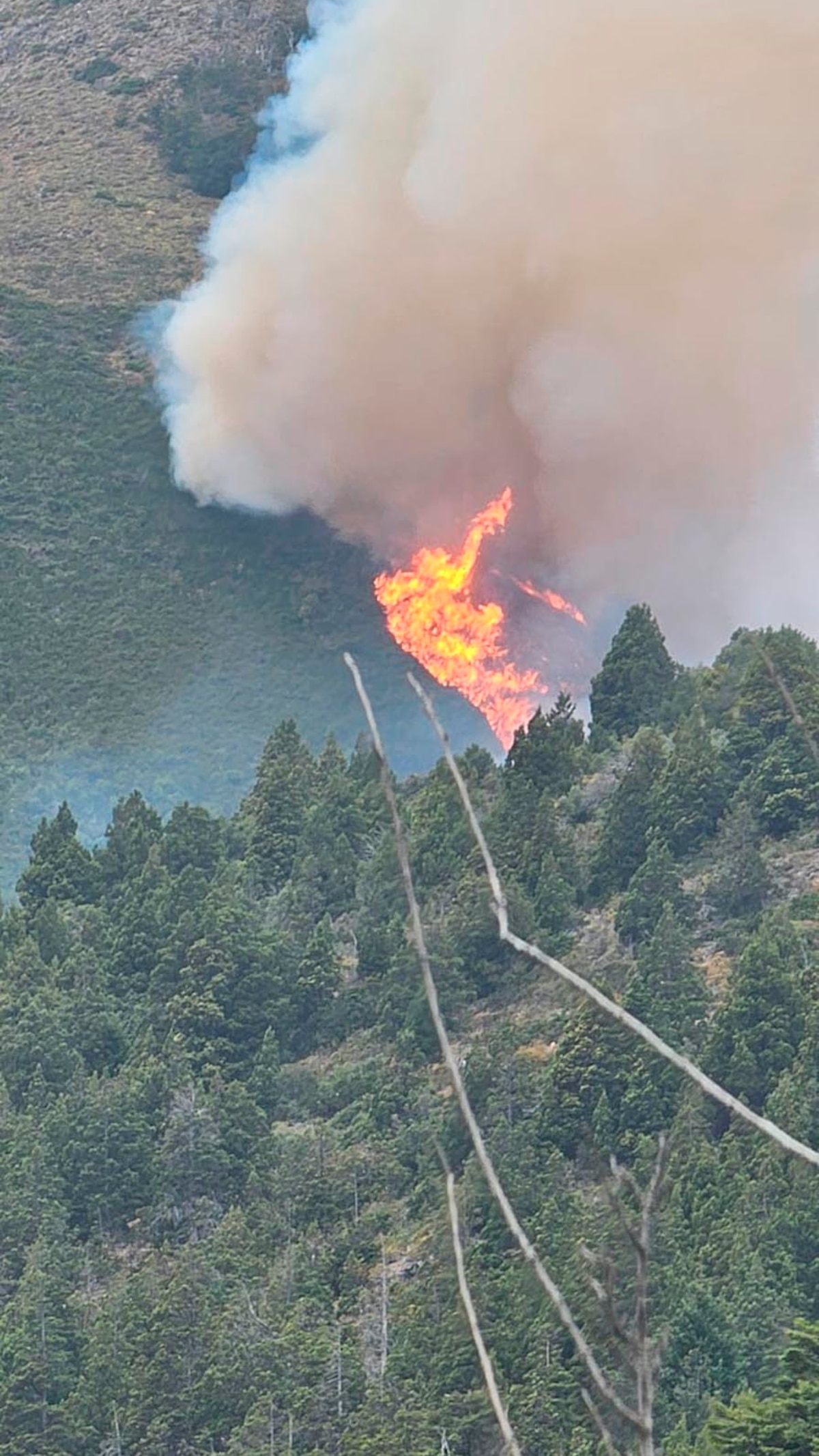 Incendio
