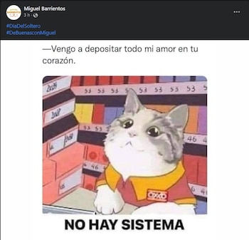 Meme día del soltero