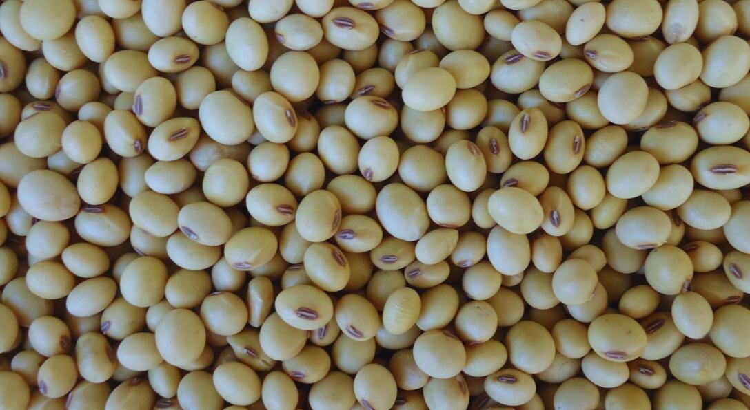 A contramano de Rusia, la Argentina volvió a incrementar las retenciones a los granos, y las operaciones cayeron drásticamente (Gob.Argentina)