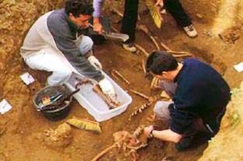 Desde 2005, un grupo de