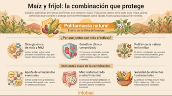 Infografía con texto e ilustraciones sobre la combinación de maíz y frijol, mostrando maíz, frijol, órganos, moléculas, plantas y cuenco de alimentos.