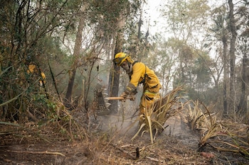 Alrededor del 10% de Corrientes