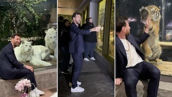 “Ojo a las caras de