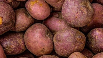 El contrato entre productores de