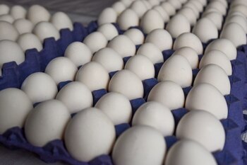 Advierten sobre problemas de oferta