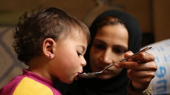 Asturias y otras 13 CCAA